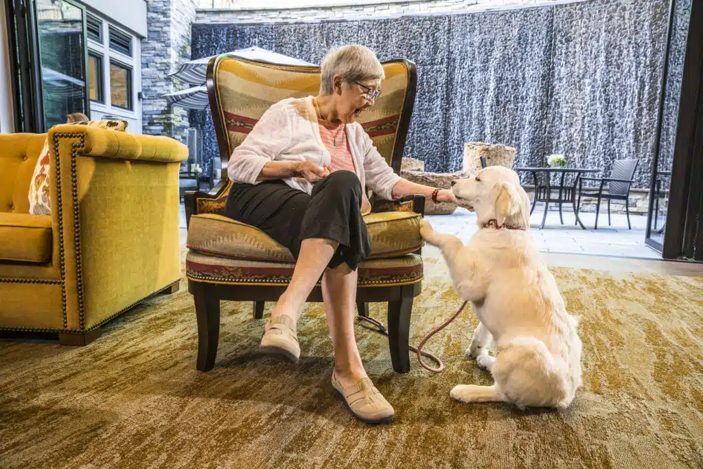 Senior woman petting a dog indoors.
