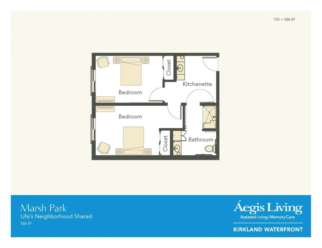 companion suite