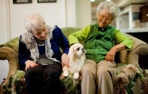Two senior women sitting on couch and petting a dog.