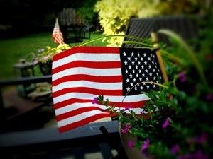 American flag set among flowering greenery